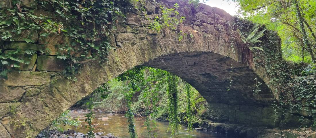 Beautiful bridge along the Camino in Spain |  <i>Heath de Burgh</i>