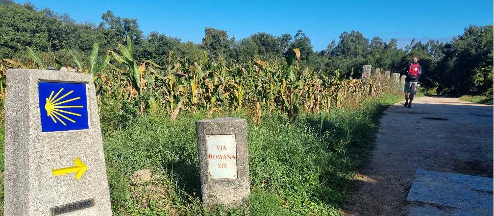 Following the trail signs on the Portuguese Camino | John Parker