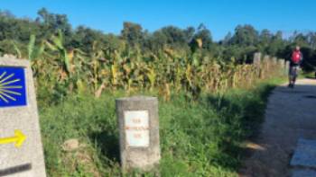 Following the trail signs on the Portuguese Camino