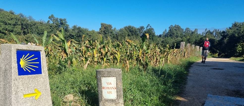 Following the trail signs on the Portuguese Camino |  <i>John Parker</i>