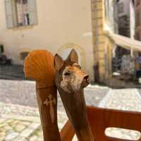 Camino walking poles | Jaclyn Lofts