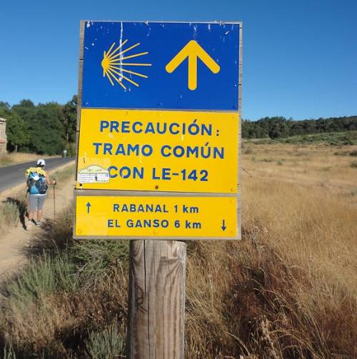 Walking the Camino de Santiago |  <i>Eimy Minowa</i>