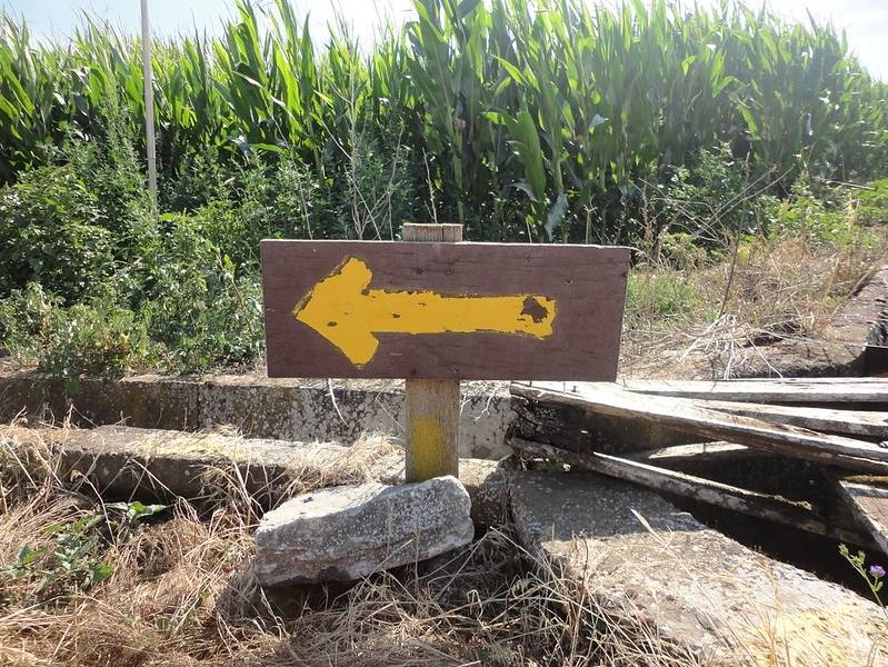 Walking the Camino de Santiago |  <i>Eimy Minowa</i>