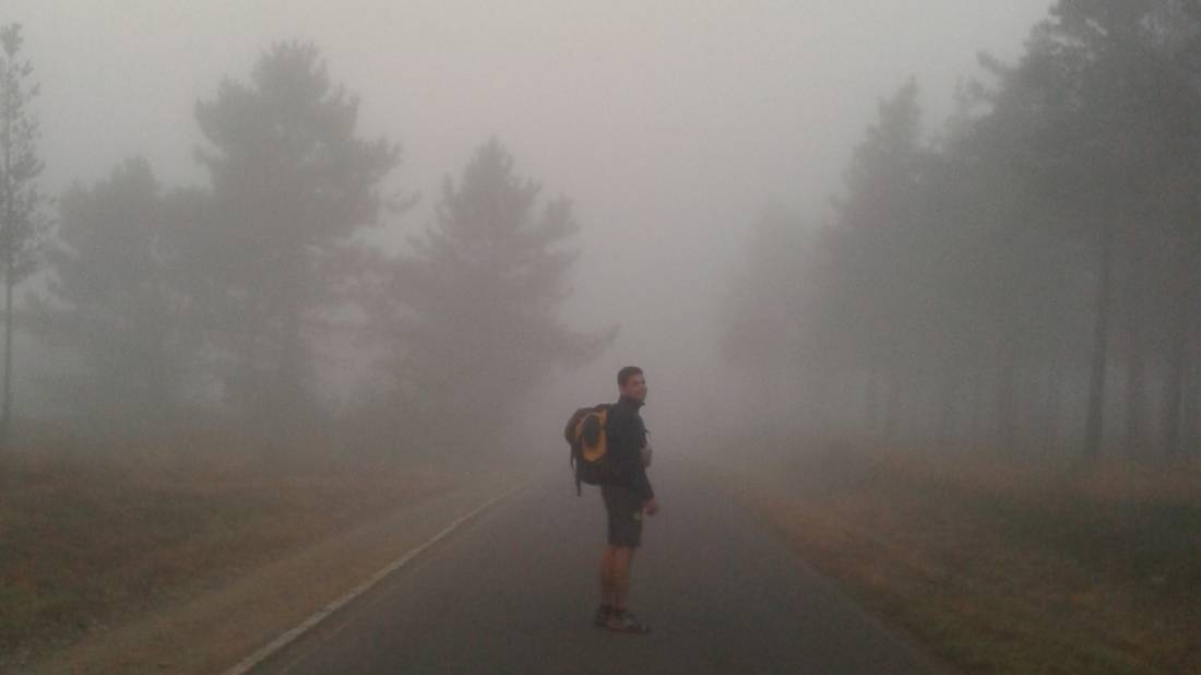 Misty morning on the Camino de Santiago |  <i>Eimy Minowa</i>