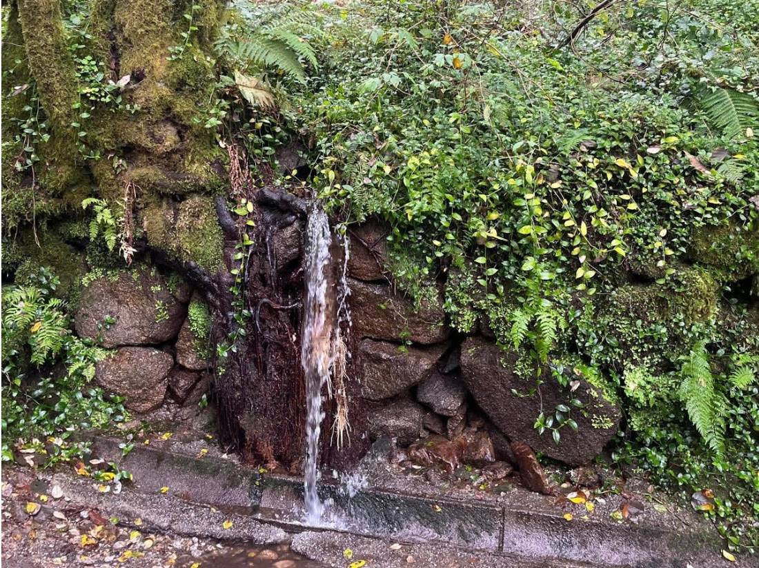 Gutters along the Camino Portuguese |  Desrae Cameron