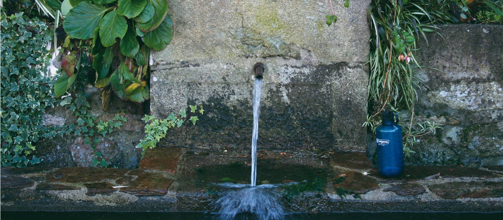 Pilgrim's water fountain on the Compostela Trail | Janet Oldham