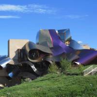 Marques de Riscal Vineyard, Rioja | Andreas Holland