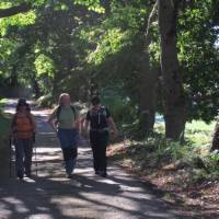 Hiking on the Camino Primitivo near Oviedo | Andreas Holland