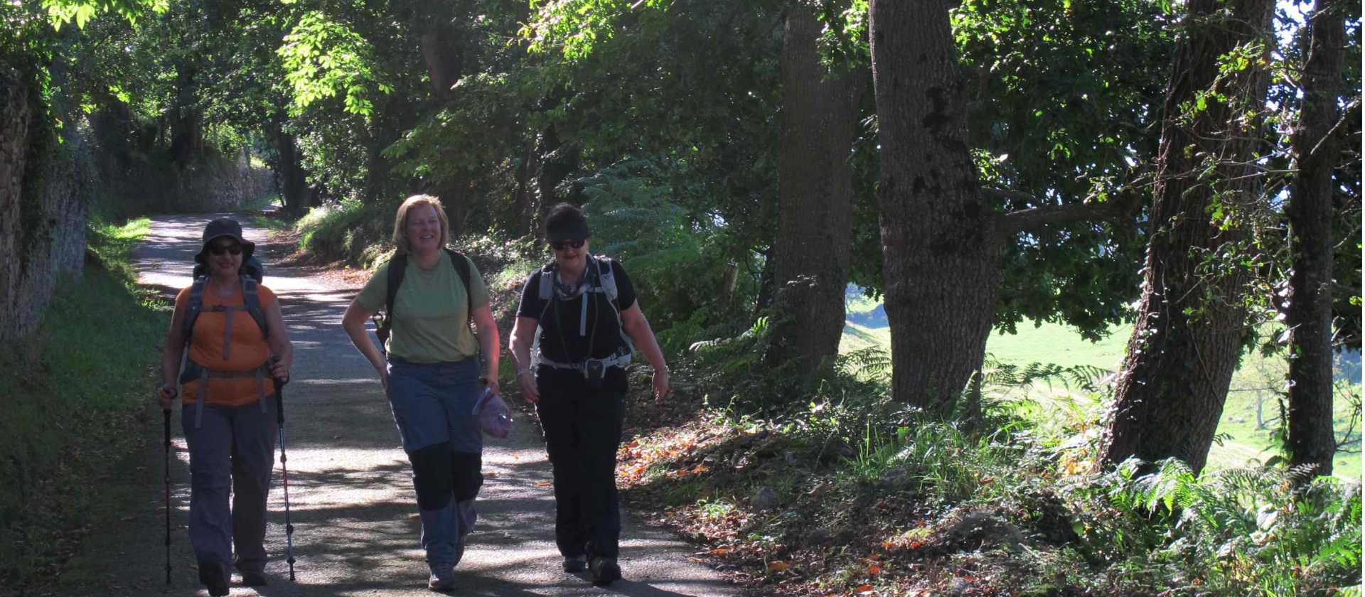 Hiking on the Camino Primitivo near Oviedo | Andreas Holland