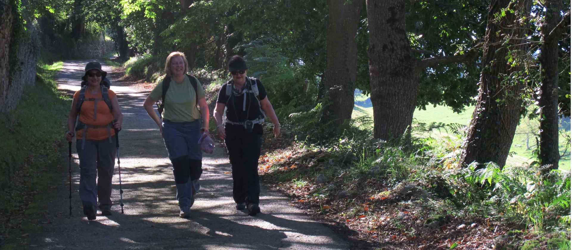 Hiking on the Camino Primitivo near Oviedo | Andreas Holland