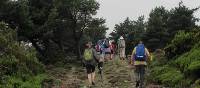 Hiking amongst heather on the Camino, Spain | Andreas Holland