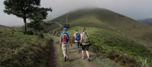 What is the Camino de Santiago