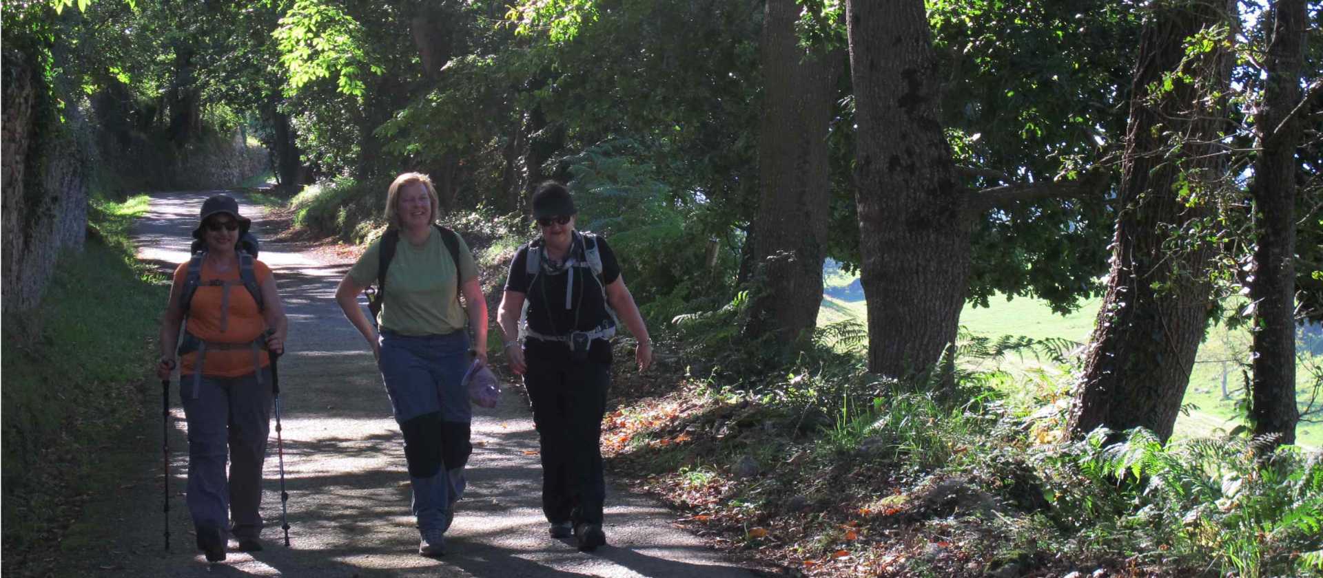 Hiking on the Camino Primitivo near Oviedo | Andreas Holland