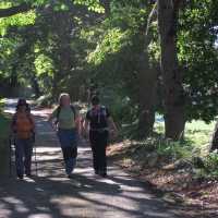 Hiking on the Camino Primitivo near Oviedo | Andreas Holland