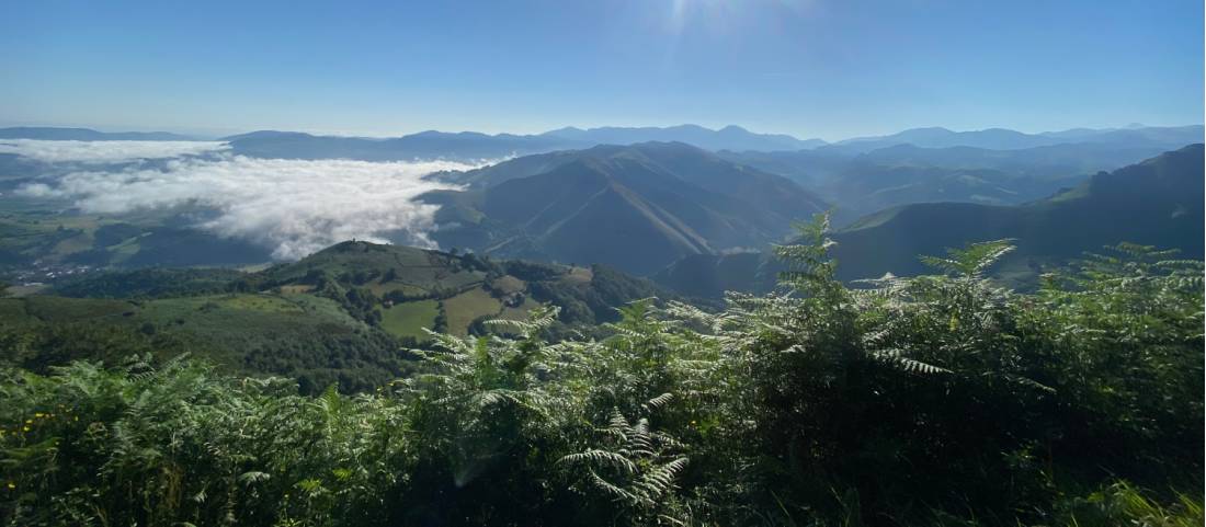 Views over the Pyrenees |  <i>Sophie Shaw</i>