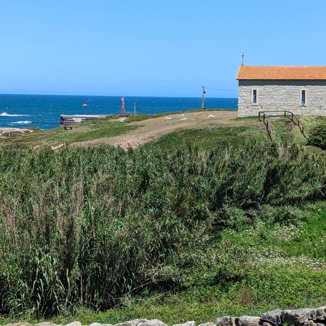 Walking the Portuguese Coastal Camino on a perfect day. | Dana Garofani