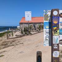 Following the Camino shell signage, which points travellers in the right direction. | Dana Garofani