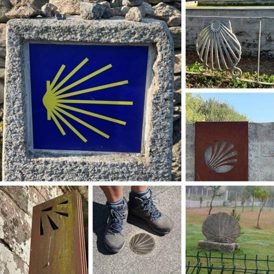 Signs of the Camino |  Steven Yankiver