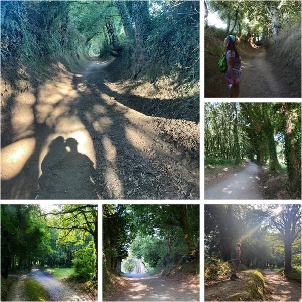 Camino memories |  Steven Yankiver