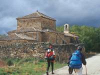 Pilgrims on the Compostela Trail