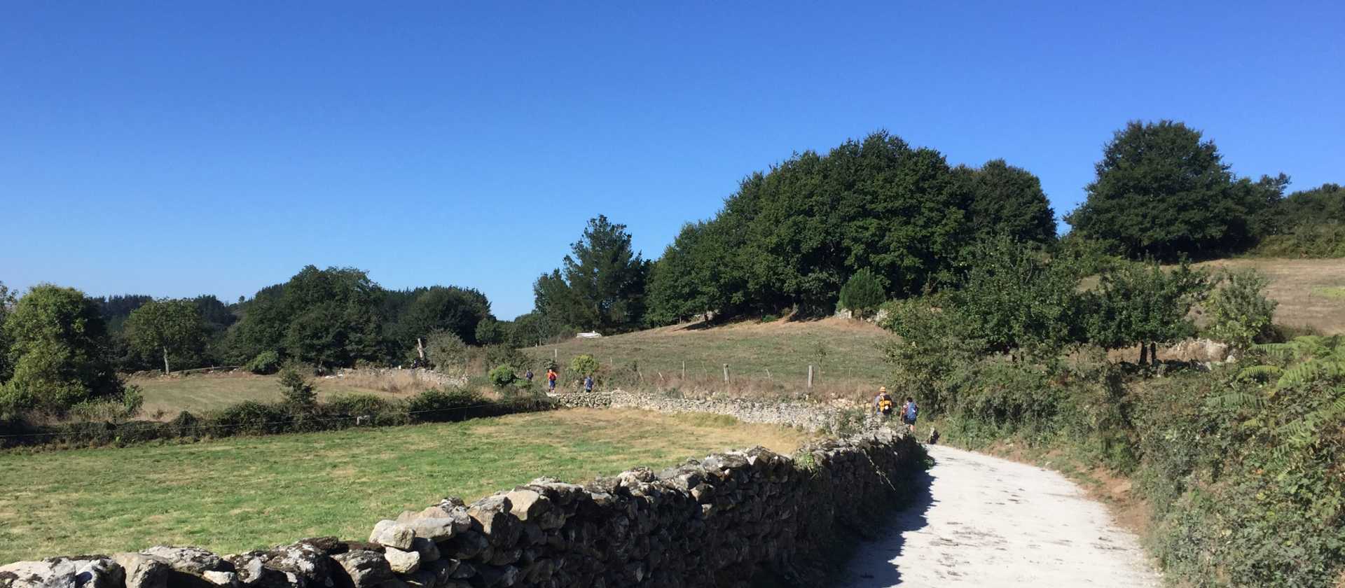 Enjoy the Spanish countryside on your Camino walk | Sue Finn