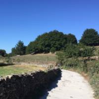 Enjoy the Spanish countryside on your Camino walk | Sue Finn