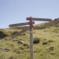 Signposts on the Compostela Trail | Gaby Dean