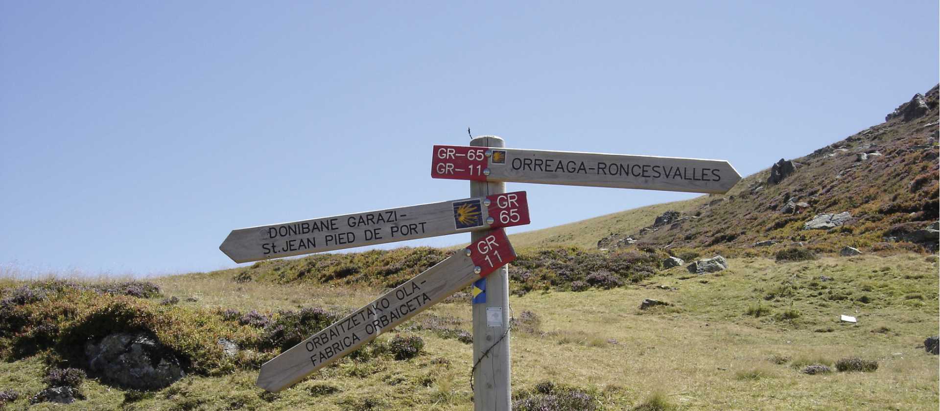 Signposts on the Compostela Trail | Gaby Dean