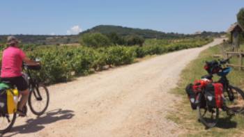 jakobsweg-2709140,Gustav Sommer Cycling along the Camino de Santiago