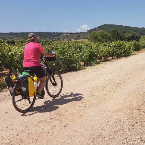 Camino de santiago bike best sale