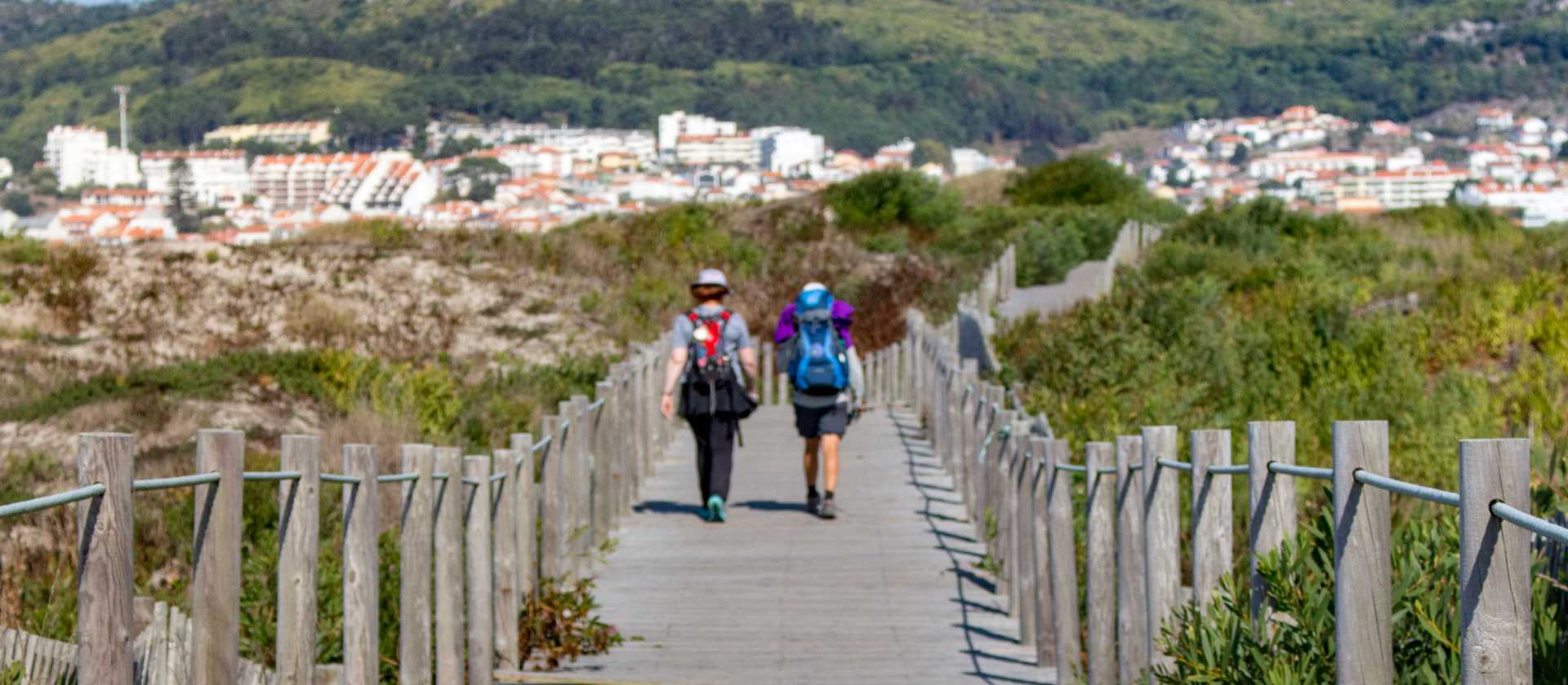 Walking along the Camino Portuguese
