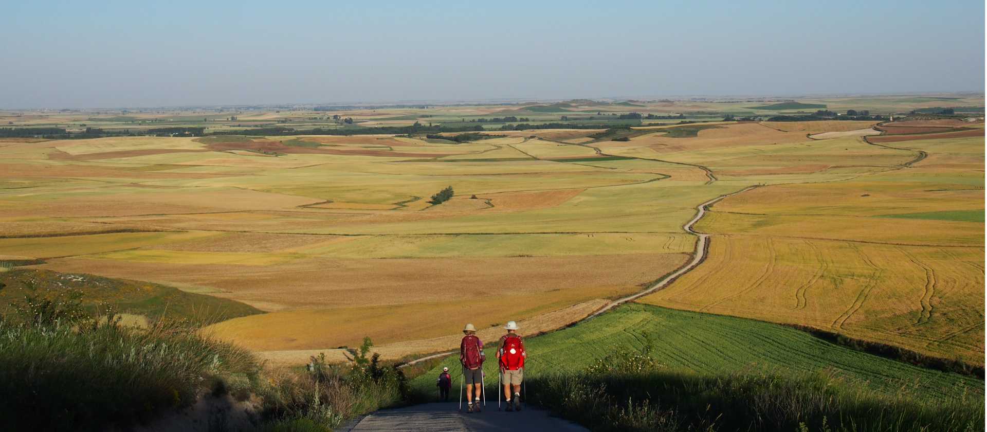 The open plains of the Camino de Santiago trail