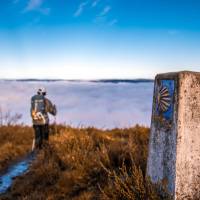 Walking the Camino trail on a foggy morning