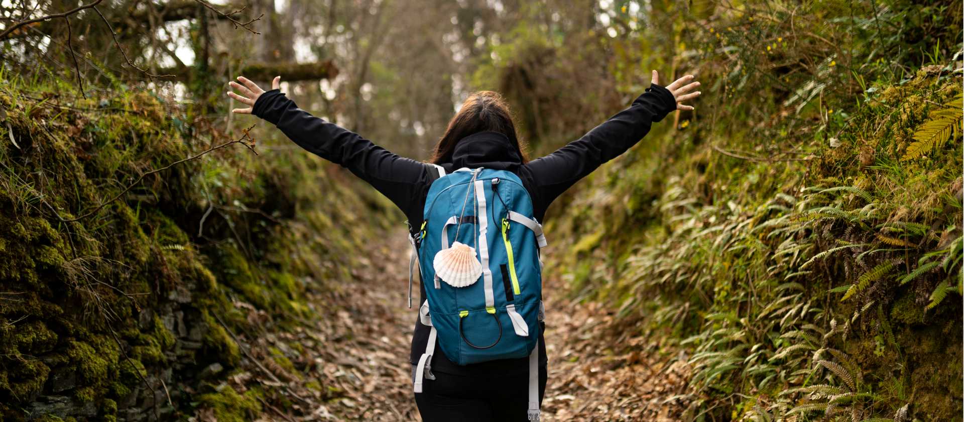 Walking the Camino de Santiago trail