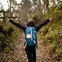 Walking the Camino de Santiago trail
