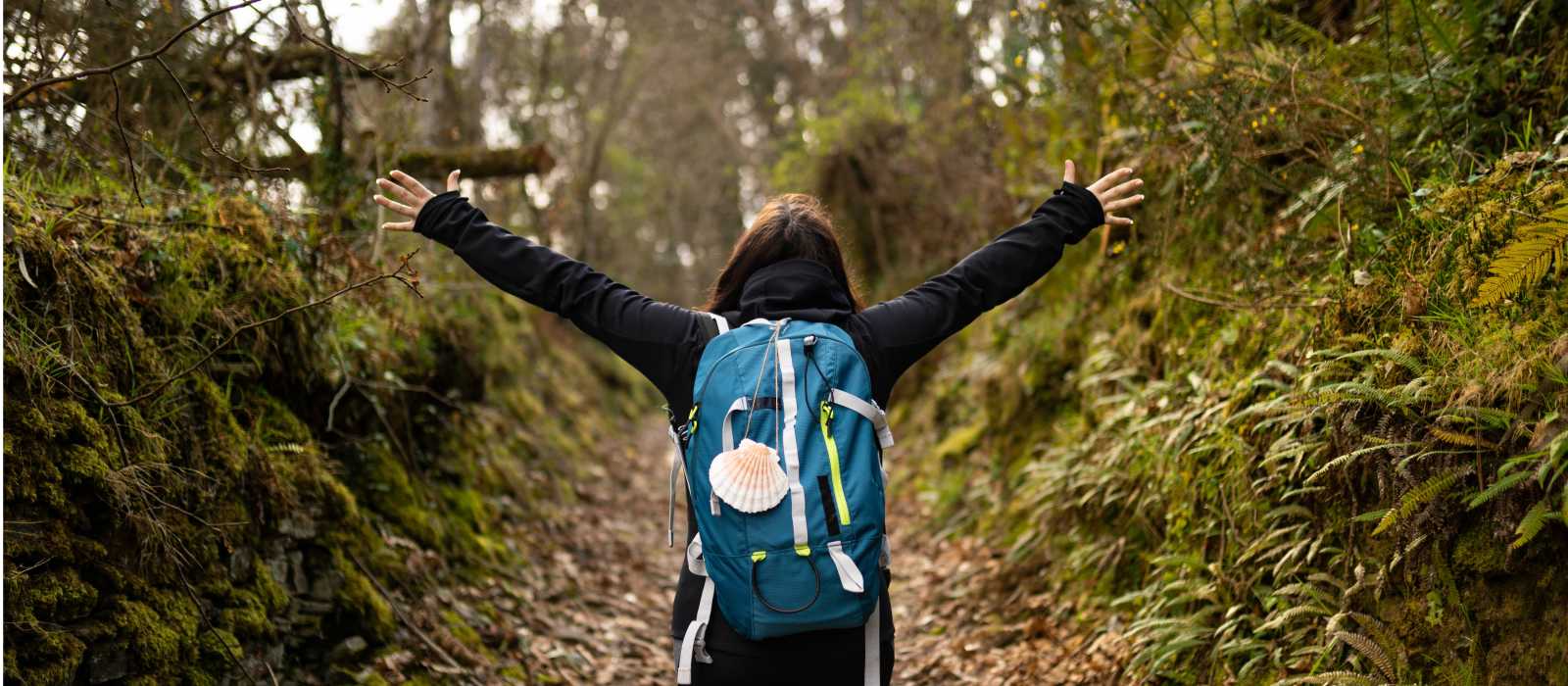 Walking the Camino de Santiago trail