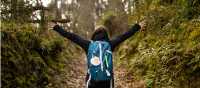 Walking the Camino de Santiago trail