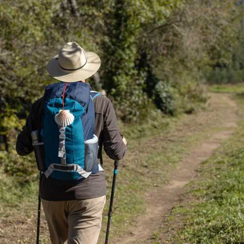 Walking the Way of St James
