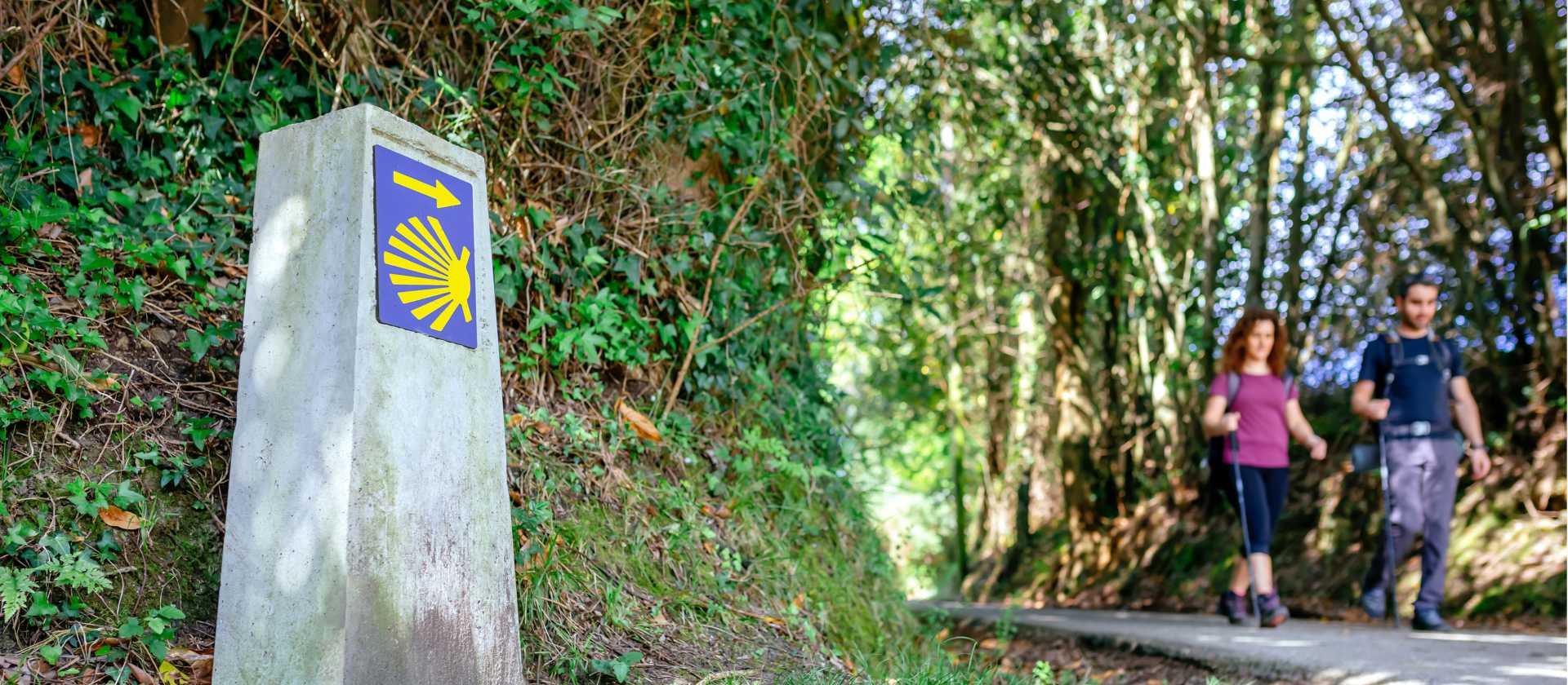 Walking the famous Camino de Santiago