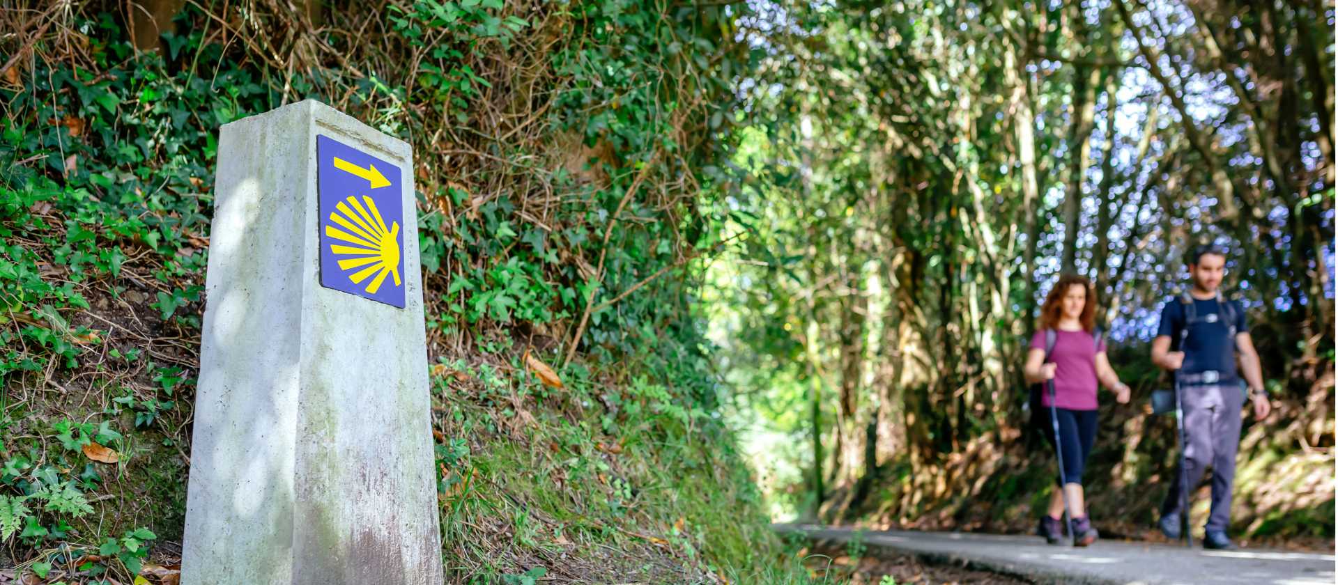 Walking the famous Camino de Santiago