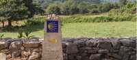 Follow the Camino signs to Santiago de Compostela