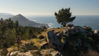 Enjoy panoramic views of the Atlantic Sea on the Portuguese Way