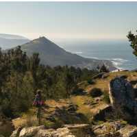 Enjoy panoramic views of the Atlantic Sea on the Portuguese Way