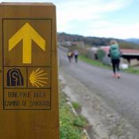 A signpost on the Camino del Norte in Spain