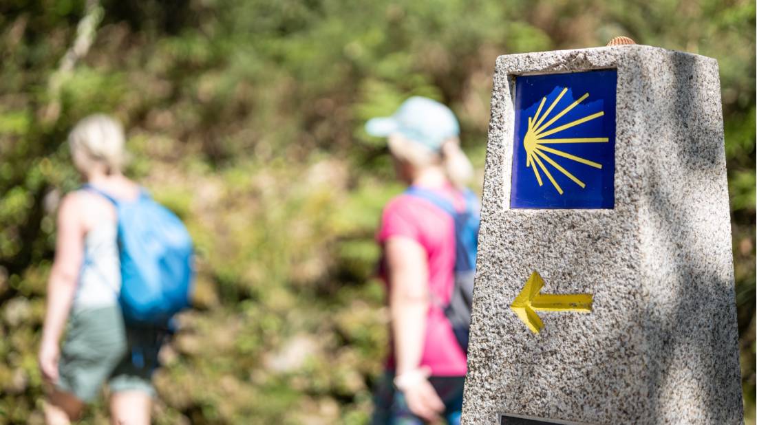 Explore the iconic Camino trail