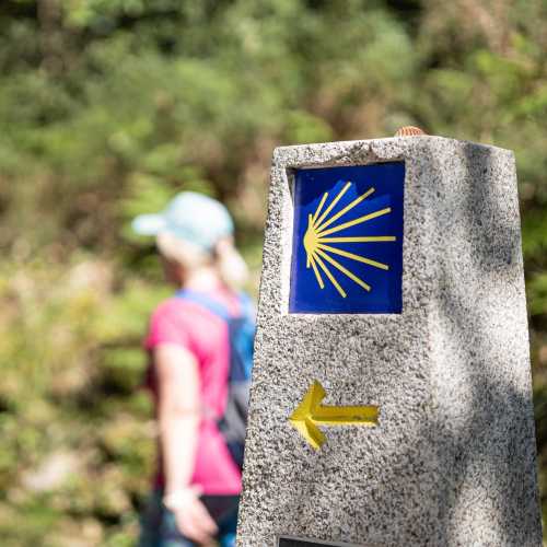 Explore the iconic Camino trail