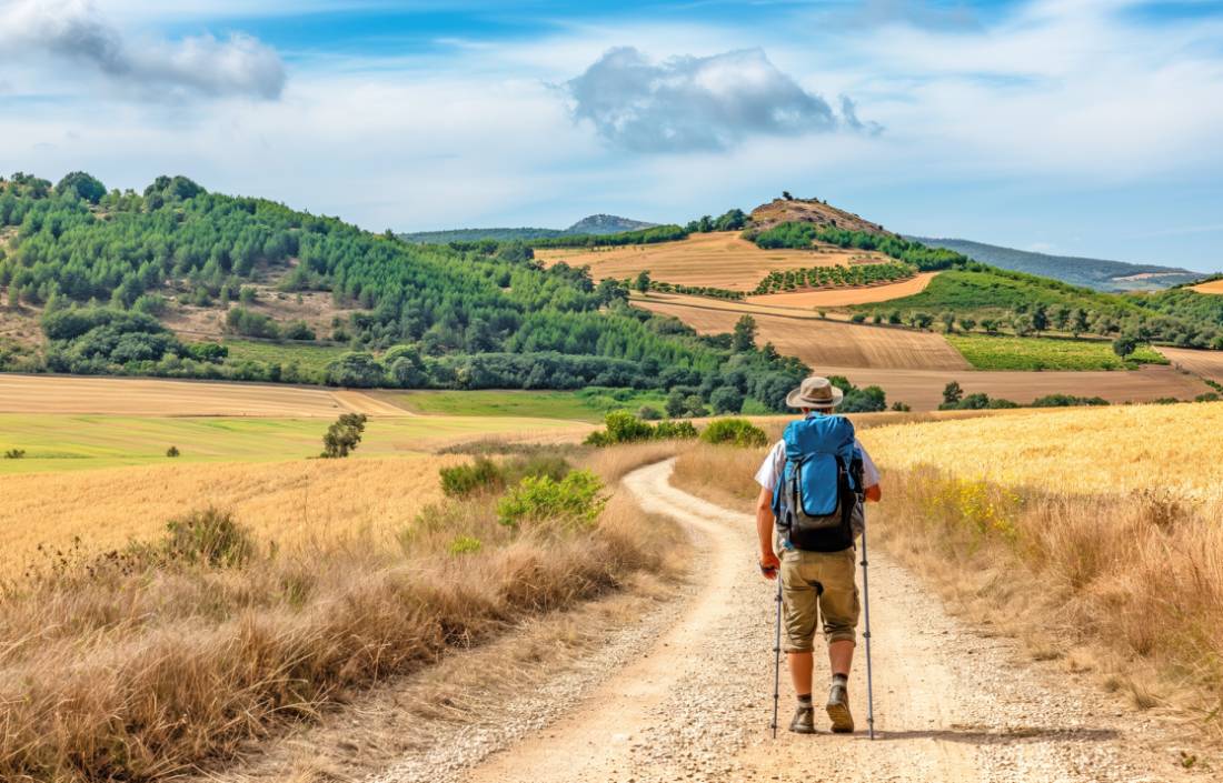 Walking the long path of the Camino