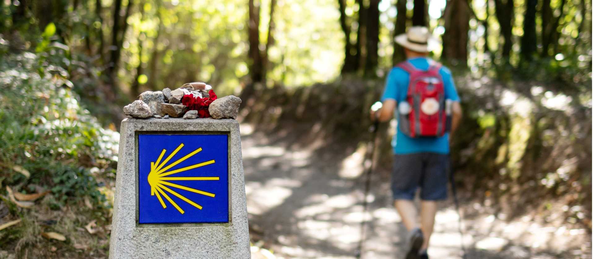 Walking the Camino de Santiago