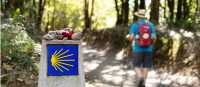 Walking the Camino de Santiago