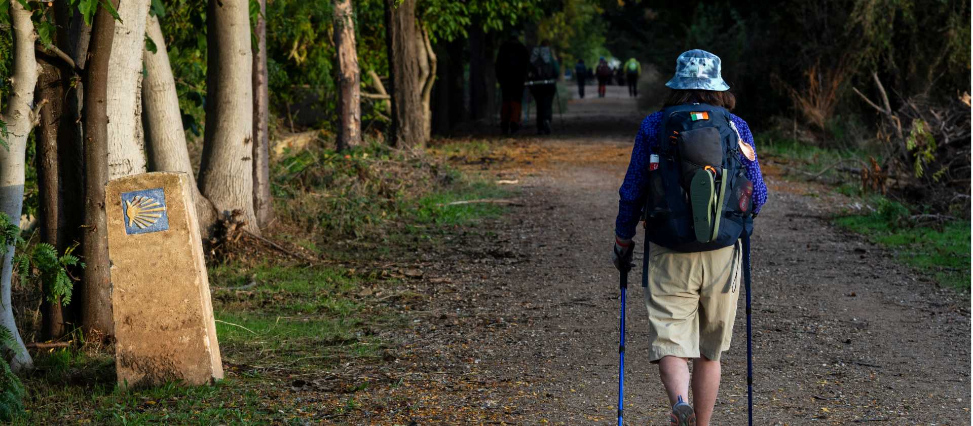 Walking the Camino trail